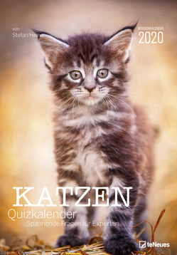 Stefan Heine Katzen-Quiz 2020 Wochenkalender