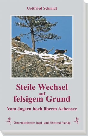 Steile Wechsel auf felsigem Grund von Schmidt,  Gottfried