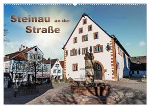 Steinau an der Straße (Wandkalender 2024 DIN A2 quer), CALVENDO Monatskalender von Eckerlin,  Claus