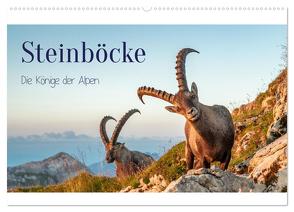 Steinböcke – Die Könige der Alpen (Wandkalender 2024 DIN A2 quer), CALVENDO Monatskalender von Kramer,  Michaela