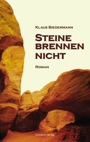 Steine brennen nicht von Biedermann,  Klaus D.