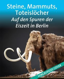 Steine, Mammuts, Toteislöcher von Witzel,  Beate