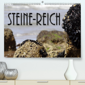 Steine-Reich (Premium, hochwertiger DIN A2 Wandkalender 2021, Kunstdruck in Hochglanz) von Flori0