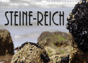 Steine-Reich (Wandkalender 2022 DIN A4 quer) von Flori0