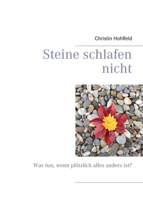 Steine schlafen nicht von Hohlfeld,  Christin