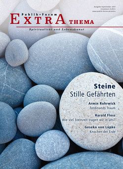 Steine – Stille Gefährten von Dänzer-Vanotti,  Irene, Marsen,  Thies, Morgenroth,  David, Morgenroth,  Matthias, Rohrwick,  Armin, von Lüpke,  Geseko, Warning,  Wilhelm, Weber,  Doris