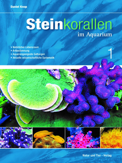 Steinkorallen im Aquarium – Band 1 von Knop,  Daniel