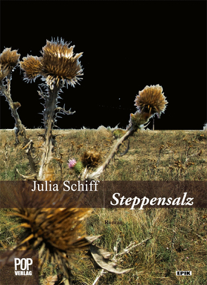 Steppensalz von Pop,  Traian, Schiff,  Julia