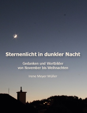 Sternenlicht in dunkler Nacht von Meyer Müller,  Irene