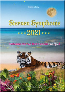 Sternensymphonie 2021 von Marlen,  Frey