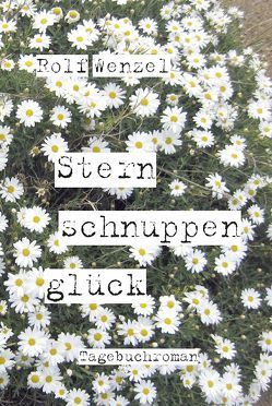 Sternschnuppenglück von Wenzel,  Rolf