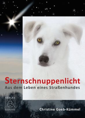 Sternschnuppenlicht von Goeb-Kümmel,  Christine