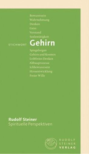 Stichwort Gehirn von Gut,  Taja, Steiner,  Rudolf