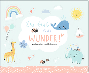 Stickerbuch – Du bist ein Wunder! von Schulte,  Tina