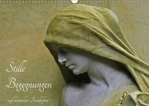 Stille Begegnungen (Wandkalender 2018 DIN A3 quer) von Otte,  Dagmar