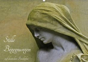 Stille Begegnungen (Wandkalender 2019 DIN A2 quer) von Otte,  Dagmar