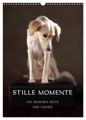 Stille Momente – Die sensible Seite der Hunde (Wandkalender 2024 DIN A3 hoch), CALVENDO Monatskalender von Behr,  Jana