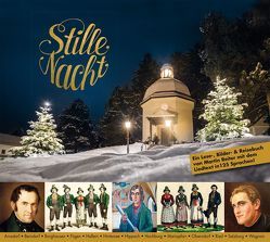 Stille Nacht von Reiter,  Martin