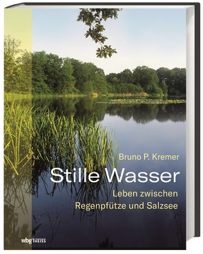 Stille Wasser von Kremer,  Bruno P.