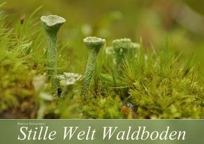 Stille Welt Waldboden (Posterbuch DIN A2 quer) von Schumann,  Bianca