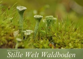 Stille Welt Waldboden (Tischaufsteller DIN A5 quer) von Schumann,  Bianca