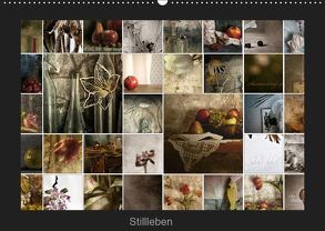 Stillleben (Wandkalender 2019 DIN A2 quer) von Art,  TiLio