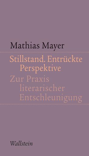 Stillstand. Entrückte Perspektive von Mayer,  Mathias