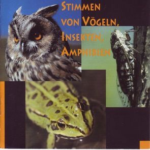 Stimmen von Vögeln, Insekten, Amphibien von Zimmermann,  Diethelm