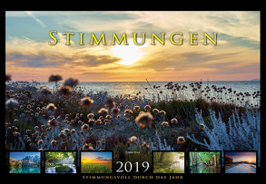 Stimmungen 2019 von Braue,  Dieter