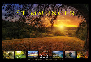 Stimmungen 2024 von Dieter,  Braue