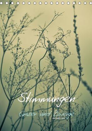 STIMMUNGEN – Gräser und Zweige (Tischkalender 2019 DIN A5 hoch) von Fuchs - atelierfuchs.de,  Horst