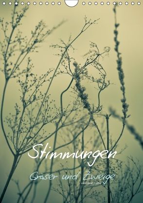 STIMMUNGEN – Gräser und Zweige (Wandkalender 2018 DIN A4 hoch) von Fuchs - atelierfuchs.de,  Horst