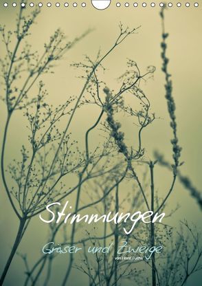 STIMMUNGEN – Gräser und Zweige (Wandkalender 2019 DIN A4 hoch) von Fuchs - atelierfuchs.de,  Horst