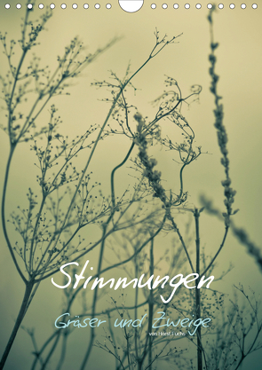 STIMMUNGEN – Gräser und Zweige (Wandkalender 2021 DIN A4 hoch) von Fuchs - atelierfuchs.de,  Horst