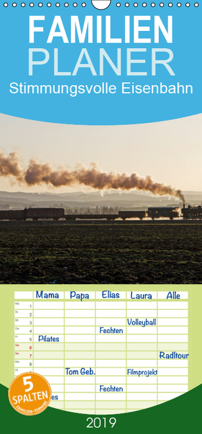 Stimmungsvolle Eisenbahn – Bahnimpressionen aus Österreich – Familienplaner hoch (Wandkalender 2019 , 21 cm x 45 cm, hoch) von rail66