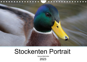 Stockenten Portrait (Wandkalender 2023 DIN A4 quer) von Mahrhofer,  Verena