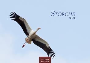 Störche 2021 S 35x24cm