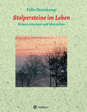 Stolpersteine im Leben – Krisen erkennen und überstehen von Osterkamp,  Felix-Daniel