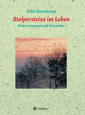 Stolpersteine im Leben – Krisen erkennen und überstehen von Osterkamp,  Felix-Daniel