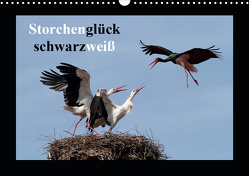 Storchenglück schwarzweiß (Wandkalender 2021 DIN A3 quer) von Bachmeier,  Günter