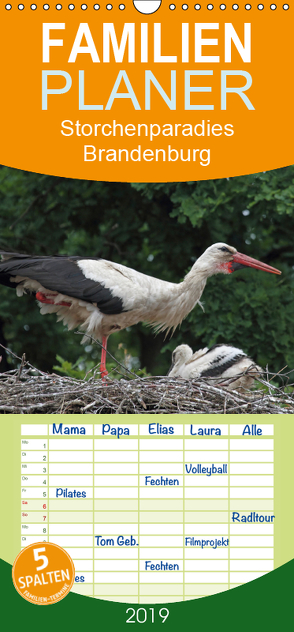 Storchenparadies Brandenburg – Familienplaner hoch (Wandkalender 2019 , 21 cm x 45 cm, hoch) von Konieczka,  Klaus