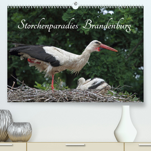 Storchenparadies Brandenburg (Premium, hochwertiger DIN A2 Wandkalender 2020, Kunstdruck in Hochglanz) von Konieczka,  Klaus