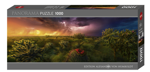 Stormy Horizon Puzzle