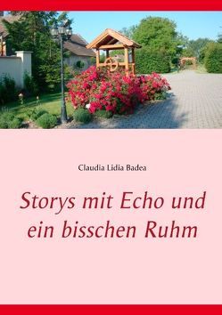 Storys mit Echo und ein bisschen Ruhm von Badea,  Claudia Lidia