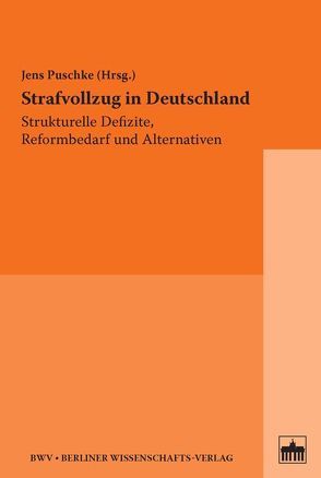 Strafvollzug in Deutschland von Puschke,  Jens