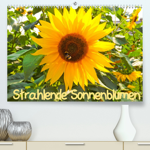 Strahlende Sonnenblumen / CH – Version (Premium, hochwertiger DIN A2 Wandkalender 2023, Kunstdruck in Hochglanz) von Sigwarth,  Karin