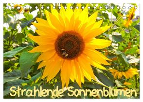 Strahlende Sonnenblumen / CH – Version (Tischkalender 2024 DIN A5 quer), CALVENDO Monatskalender von Sigwarth,  Karin