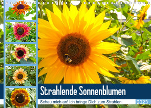 Strahlende Sonnenblumen (Wandkalender 2023 DIN A4 quer) von Sigwarth,  Karin