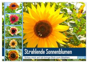 Strahlende Sonnenblumen (Wandkalender 2024 DIN A2 quer), CALVENDO Monatskalender von Sigwarth,  Karin