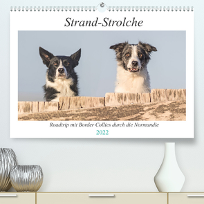 Strand-Strolche (Premium, hochwertiger DIN A2 Wandkalender 2022, Kunstdruck in Hochglanz) von Homolka,  Barbara